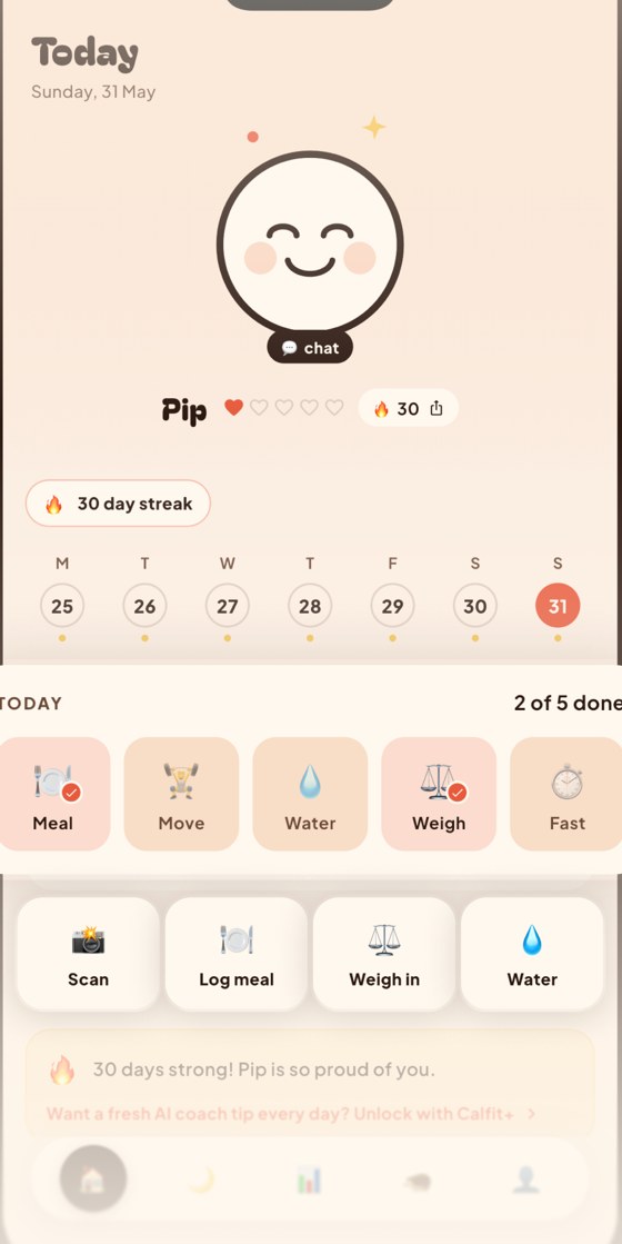 Calfit Today screen — daily overview with Pip, a 30-day streak calendar and meal, water and weigh-in tasks